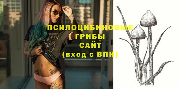 тгк Алзамай