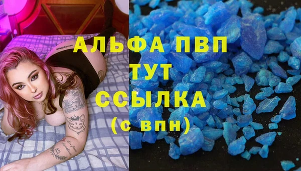 тгк Алзамай