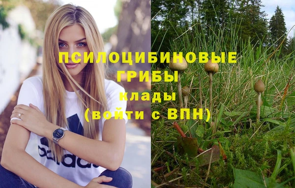 тгк Алзамай