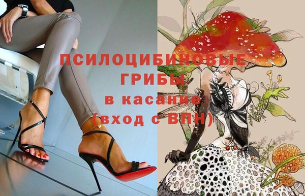 трава Алексин