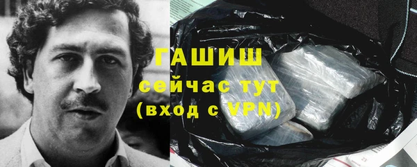 тгк Алзамай